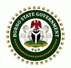 BORNO STATE Activities Update