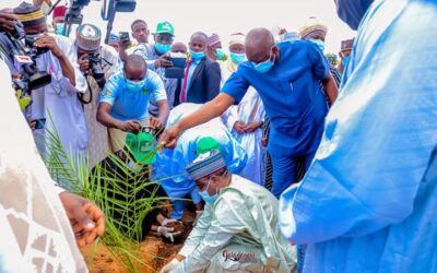 Tree Planting Campaign: Sokoto State Govt. Purchases, Distributes Two Million Seedlings