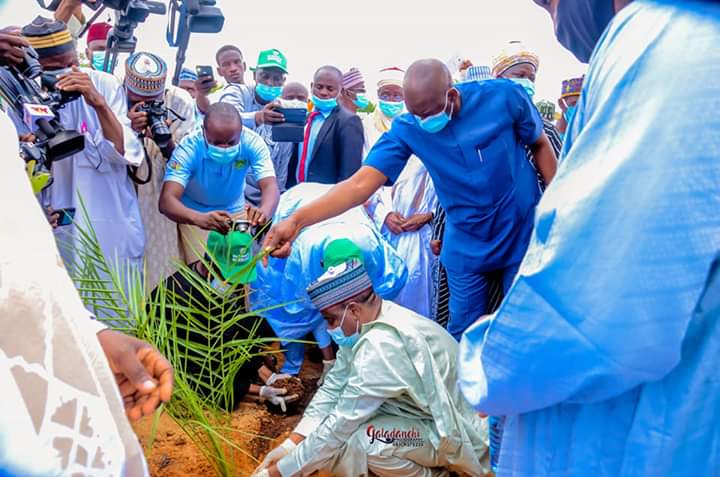 Tree Planting Campaign: Sokoto State Govt. Purchases, Distributes Two Million Seedlings